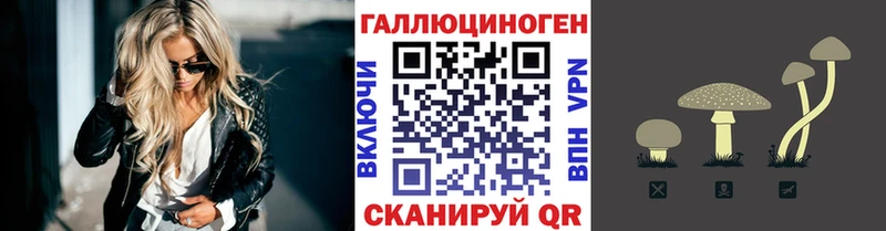 дарнет шоп  Хилок  нарко площадка клад  Псилоцибиновые грибы Psilocybine cubensis 