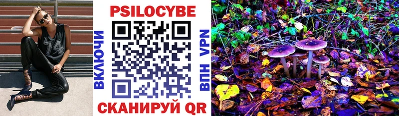Псилоцибиновые грибы прущие грибы Хилок