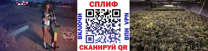 продажа наркотиков  ОМГ ОМГ ТОР  Бошки марихуана Bruce Banner  Хилок 
